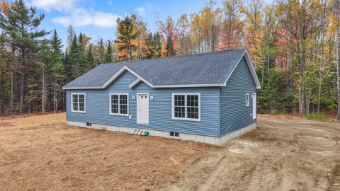Photo of 849 Kirkland Road, Old Town, ME 04468 (MLS # 1641160)