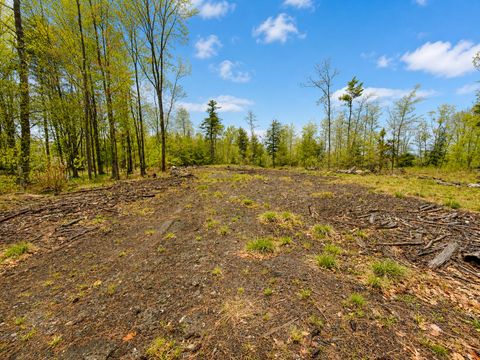 Photo of Map13Lot30 Clarks Bridge Road, Waterboro, ME 04061 (MLS # 1662202)