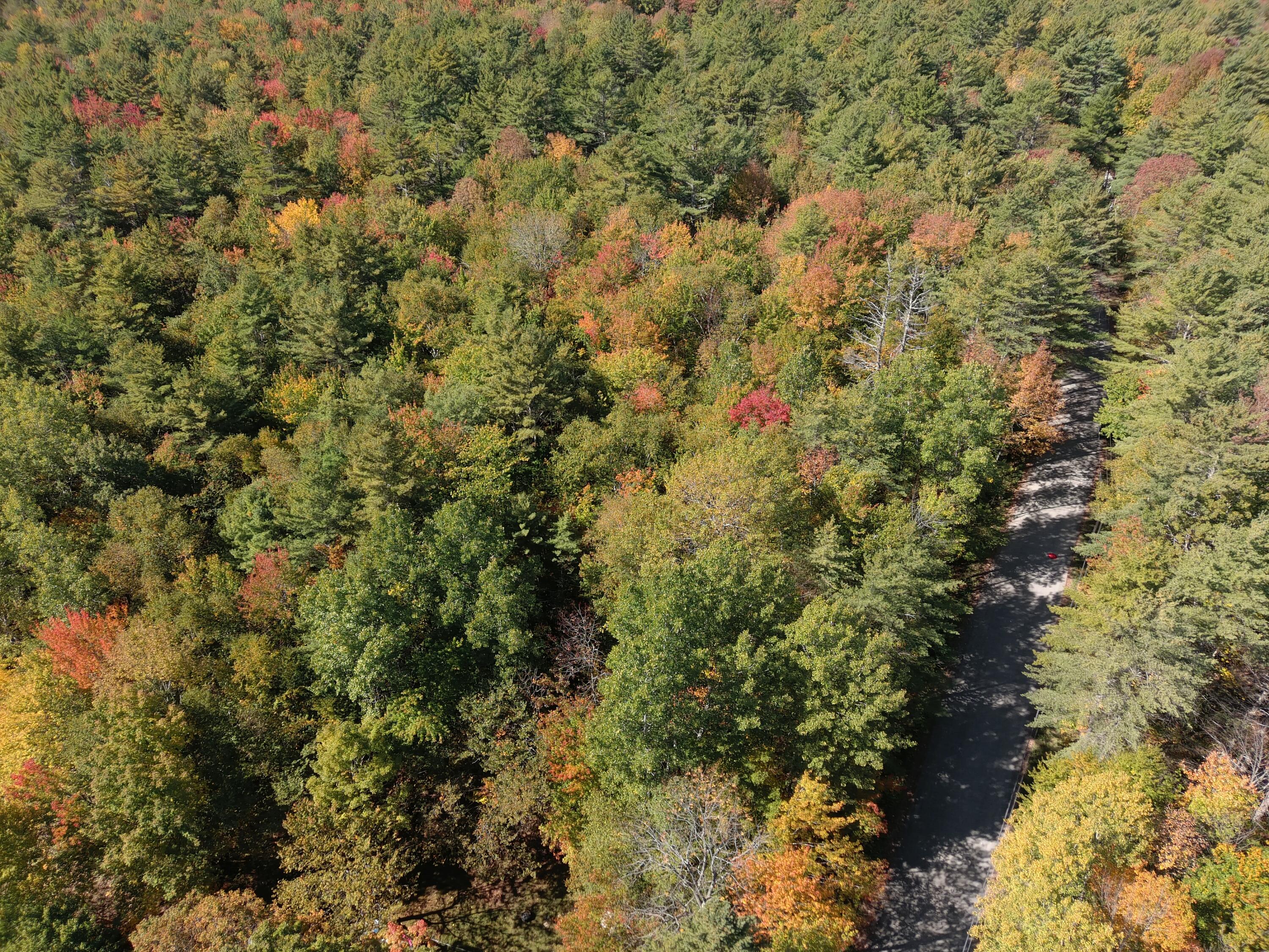 Map5 Lot39 Hardwood Lane