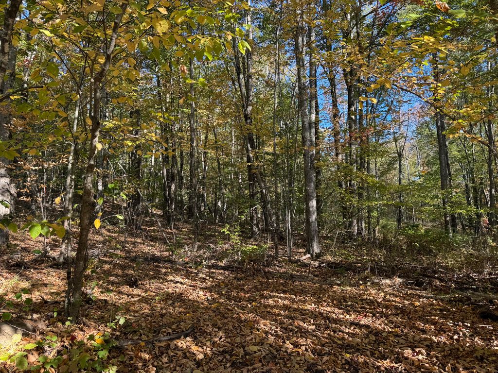 Photo of 00 Ross Hill Road, Saint Albans, ME 04971 (MLS # 1639746)