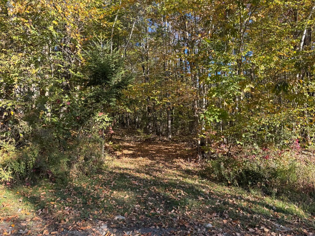 Photo of 00 Ross Hill Road, Saint Albans, ME 04971 (MLS # 1639746)