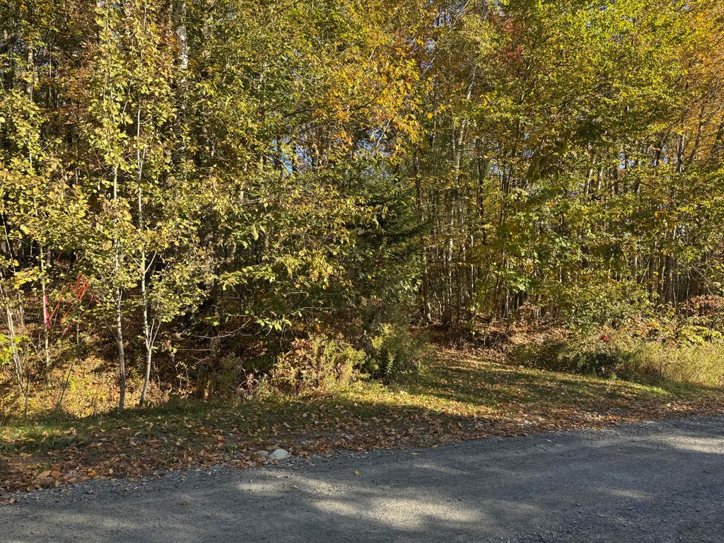 Photo of 00 Ross Hill Road, Saint Albans, ME 04971 (MLS # 1639746)
