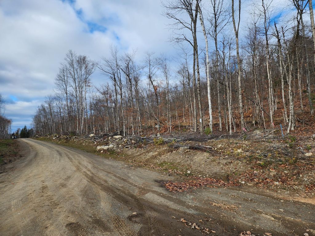 Photo of Lot 7 E Dow Farm Road, Island Falls, ME 04747 (MLS # 1645322)