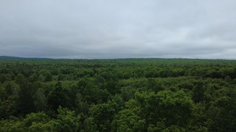 Tiny photo for Lot 25 Aurora Road, Prentiss Twp T7 R3 NBPP, ME 04487 (MLS # 1627954)