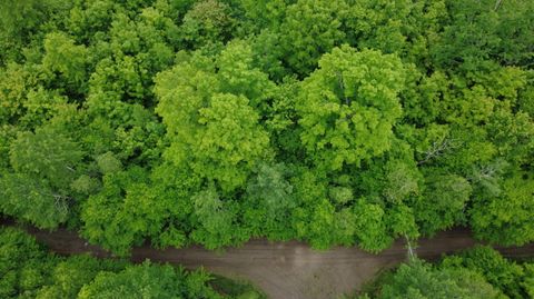 Photo of Lot 25 Aurora Road, Prentiss Twp T7 R3 NBPP, ME 04487 (MLS # 1627954)