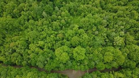 Tiny photo for Lot 25 Aurora Road, Prentiss Twp T7 R3 NBPP, ME 04487 (MLS # 1627954)