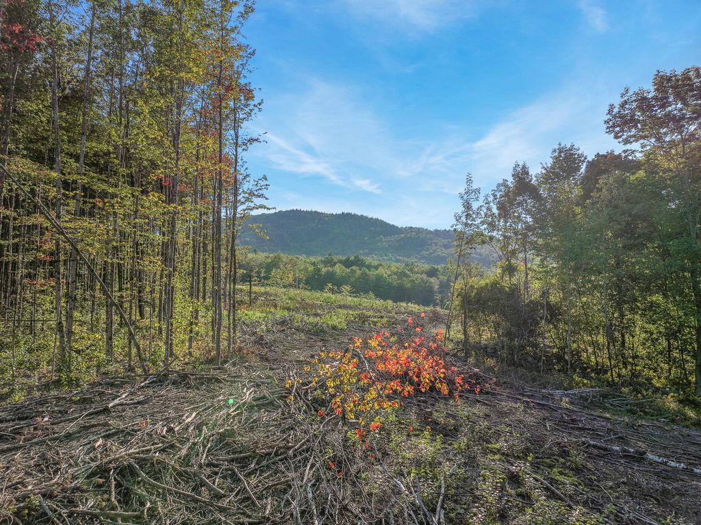 Photo of Lot # 2 Eaton Hill Road, Rumford, ME 04276 (MLS # 1627245)