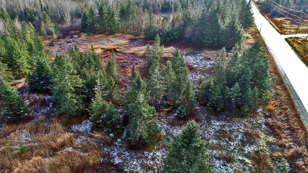 Lot 7 Bangor Road