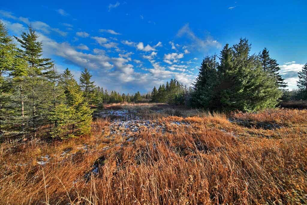 Lot 7 Bangor Road