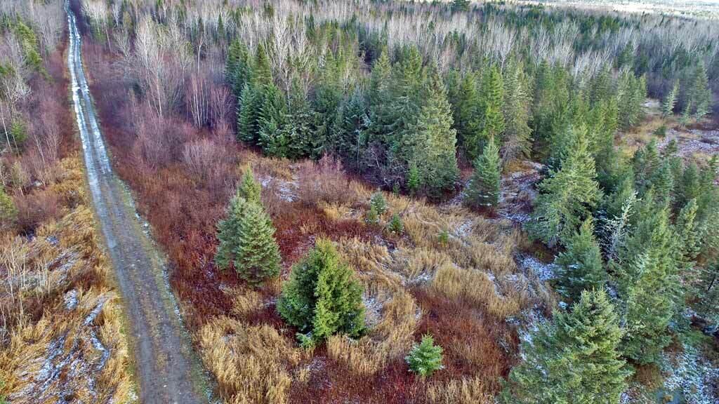 Lot 7 Bangor Road