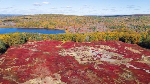 Photo of 1443 Old Augusta Road, Waldoboro, ME 04572 (MLS # 1652105)