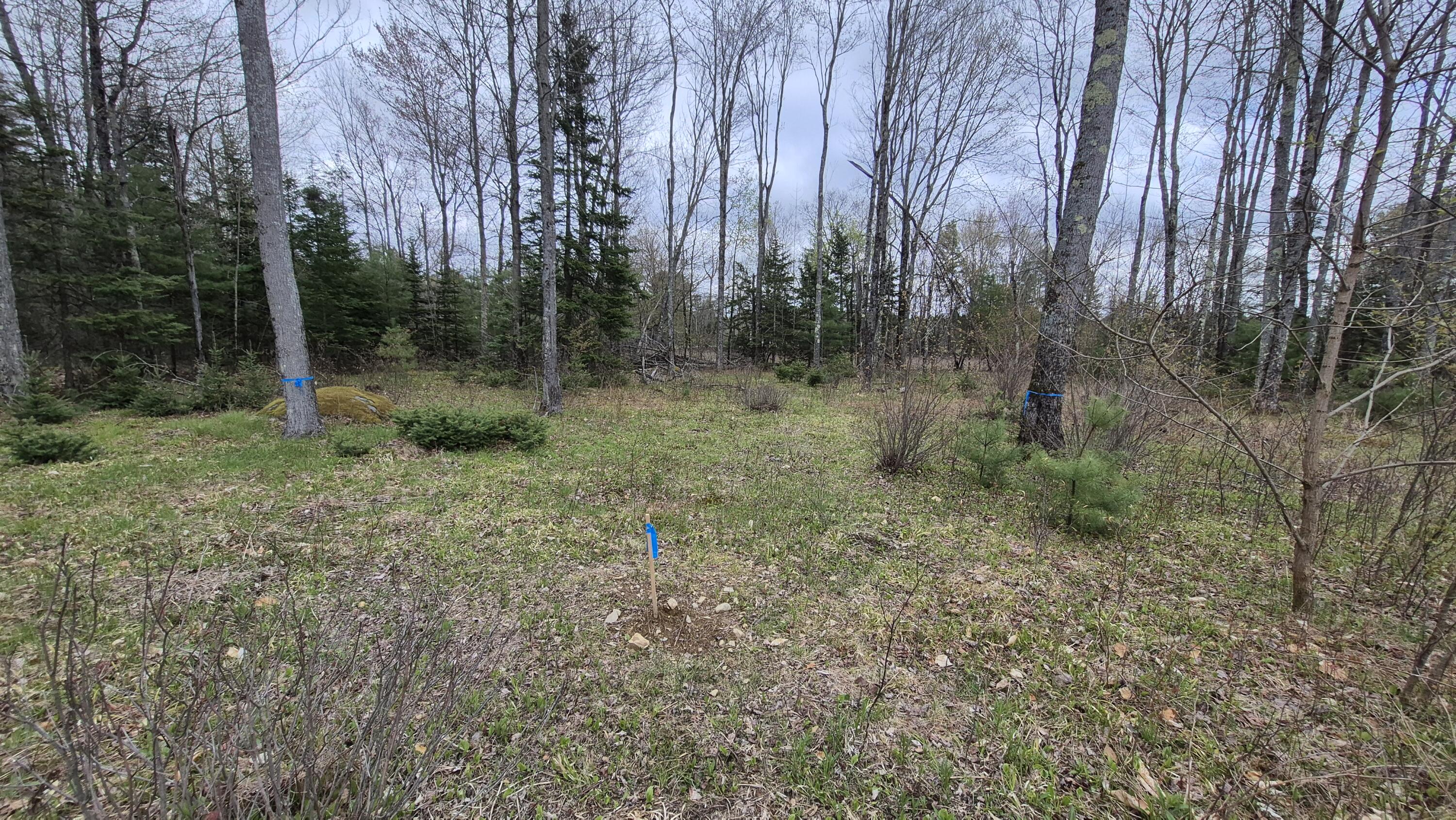 Lot 29-A Hill Road