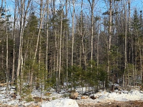 Photo of 0 E Bethel Road, Bethel, ME 04217 (MLS # 1612504) Photo of 0 E Bethel Road, Bethel, ME 04217 (MLS # 1612504)