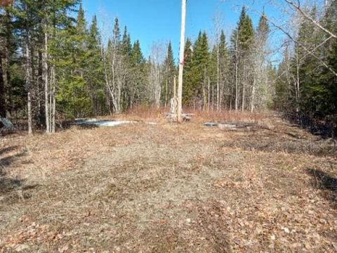 Photo of Lot 85 Woodland Ridge Road, Danforth, ME 04424 (MLS # 1647107)