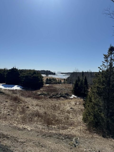 Photo of map 17 Basin Road #lot 24, Addison, ME 04606 (MLS # 1655839)