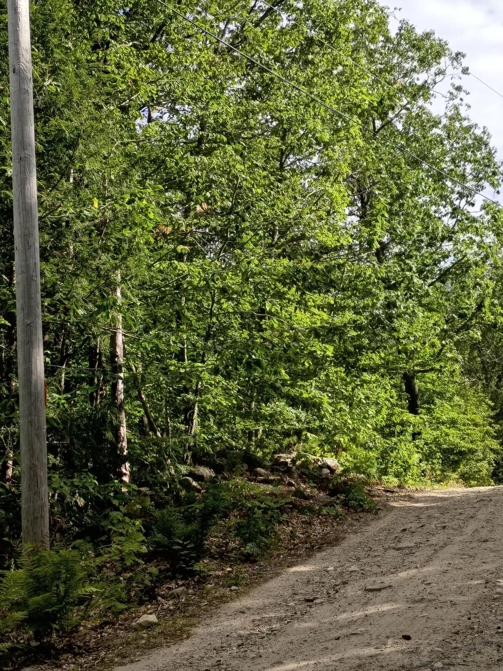 Photo of R13/038 Weeks Road, Parsonsfield, ME 04047 (MLS # 1640110)