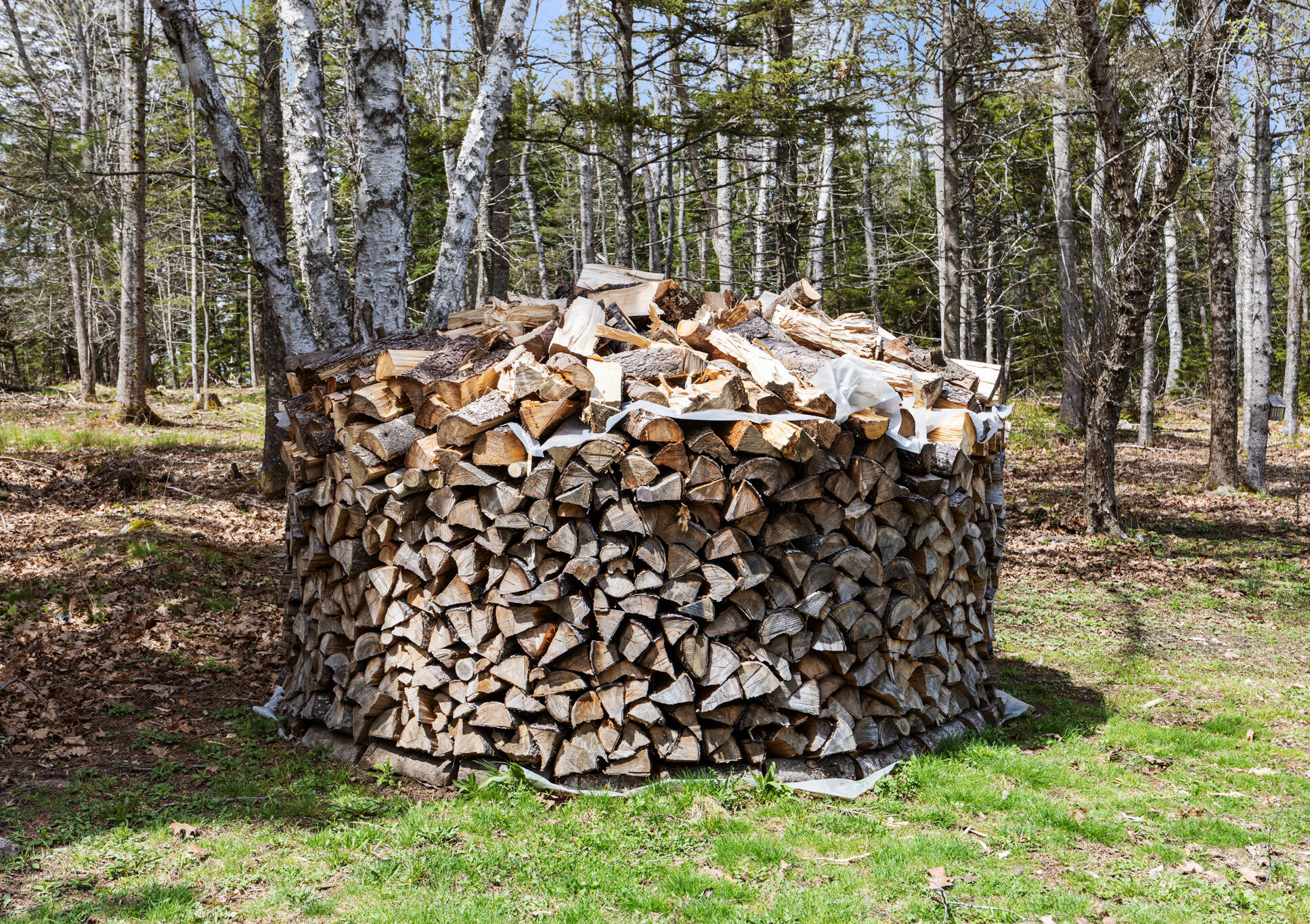 Islesboro, Maine 04848, United States, 5 Bedrooms Bedrooms, ,3 BathroomsBathrooms,Residential,Active,127423