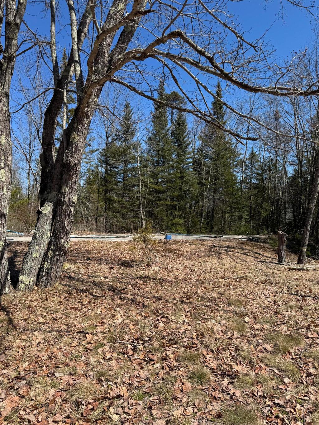 Photo of 212 Mechanic Falls Road, Poland, ME 04274 (MLS # 1657640)
