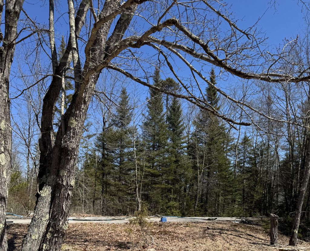 Photo of 212 Mechanic Falls Road, Poland, ME 04274 (MLS # 1657640)