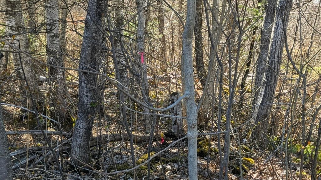 Photo of 456 West Mills Road, Industry, ME 04938 (MLS # 1660064)