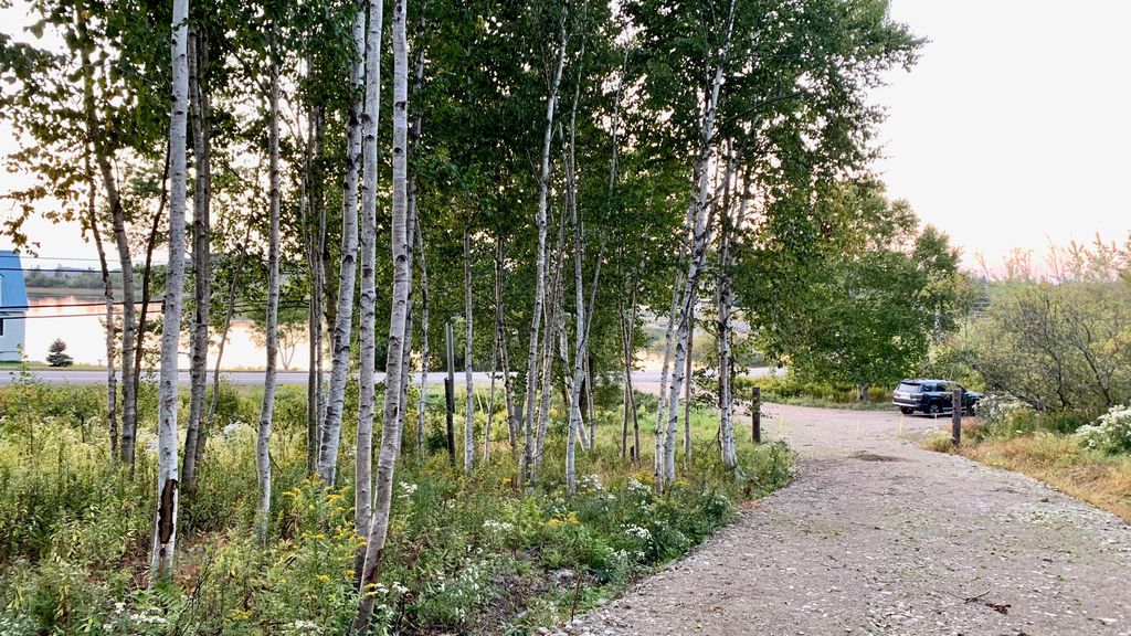 Photo of Lot 9-PART Rt 190 Road, Eastport, ME 04631 (MLS # 1652963)