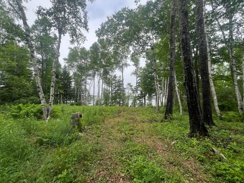 Photo of Lot 1 Puffins Lane, Machiasport, ME 04655 (MLS # 1656607)