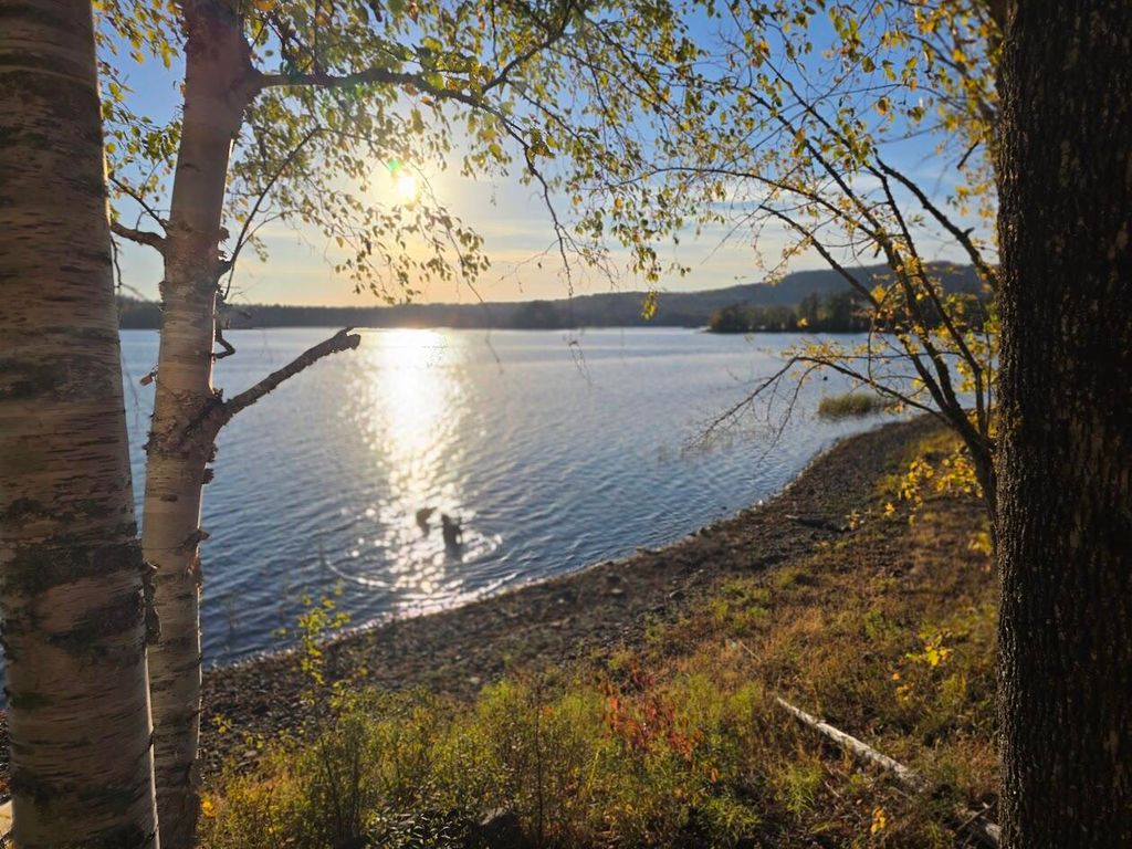 Photo of 107 Grant Road, Island Falls, ME 04747 (MLS # 1640168)