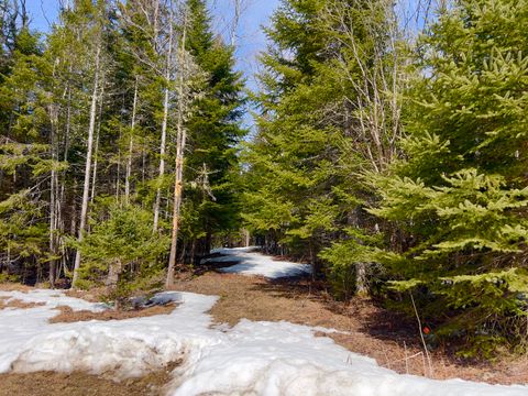 Photo of 2/001-09A Kendall Farm Trail, Dallas Plt, ME 04970 (MLS # 1656477)