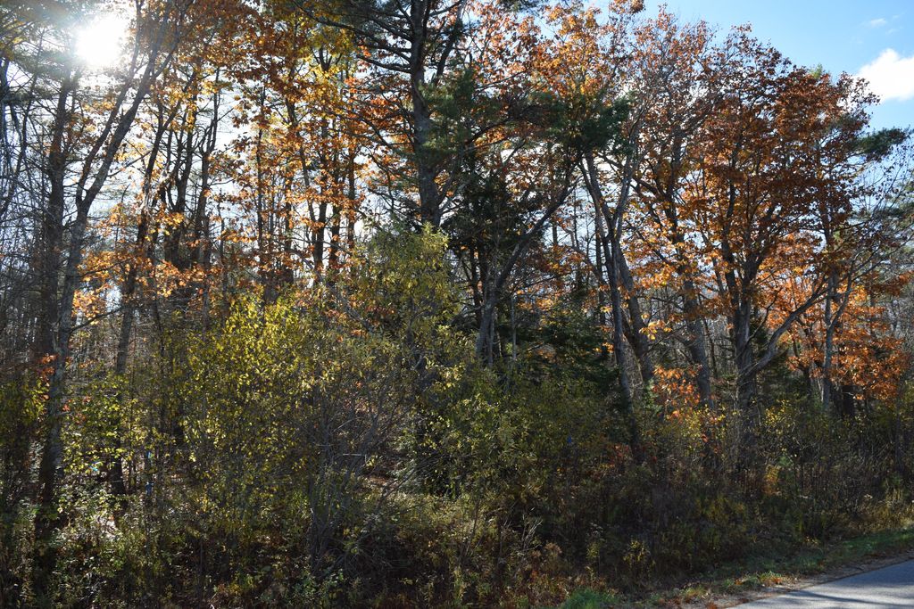 Photo of Parcel #4 Natalie Drive, West Gardiner, ME 04345 (MLS # 1642431)