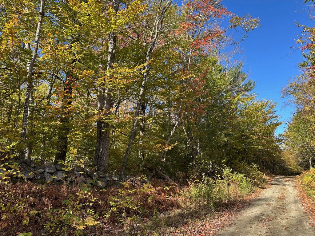 Photo of M1 L19 Homestead Hill Road, Mercer, ME 04957 (MLS # 1641712)