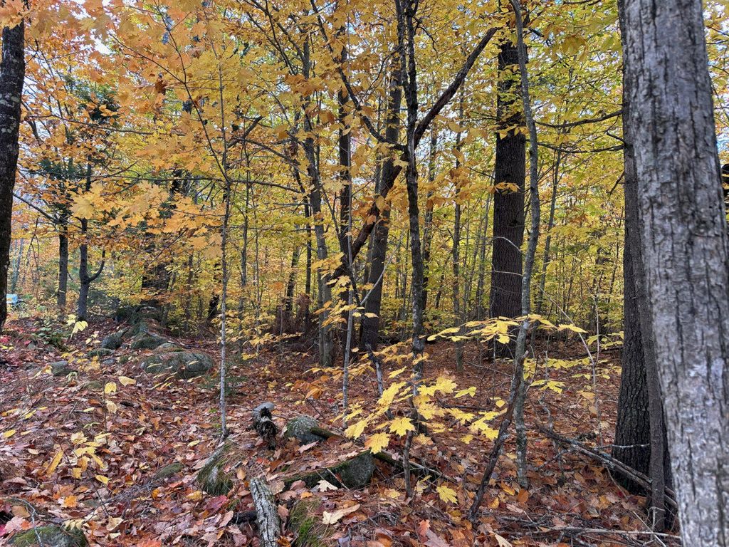 Photo of M1 L19 Homestead Hill Road, Mercer, ME 04957 (MLS # 1641712)