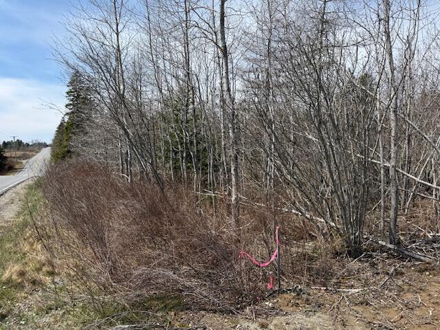 Photo of Lot 2 Holmes Bay Farms Road, Whiting, ME 04691 (MLS # 1662555)