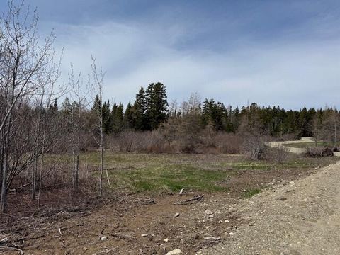 Photo of Lot 2 Holmes Bay Farms Road, Whiting, ME 04691 (MLS # 1662555)