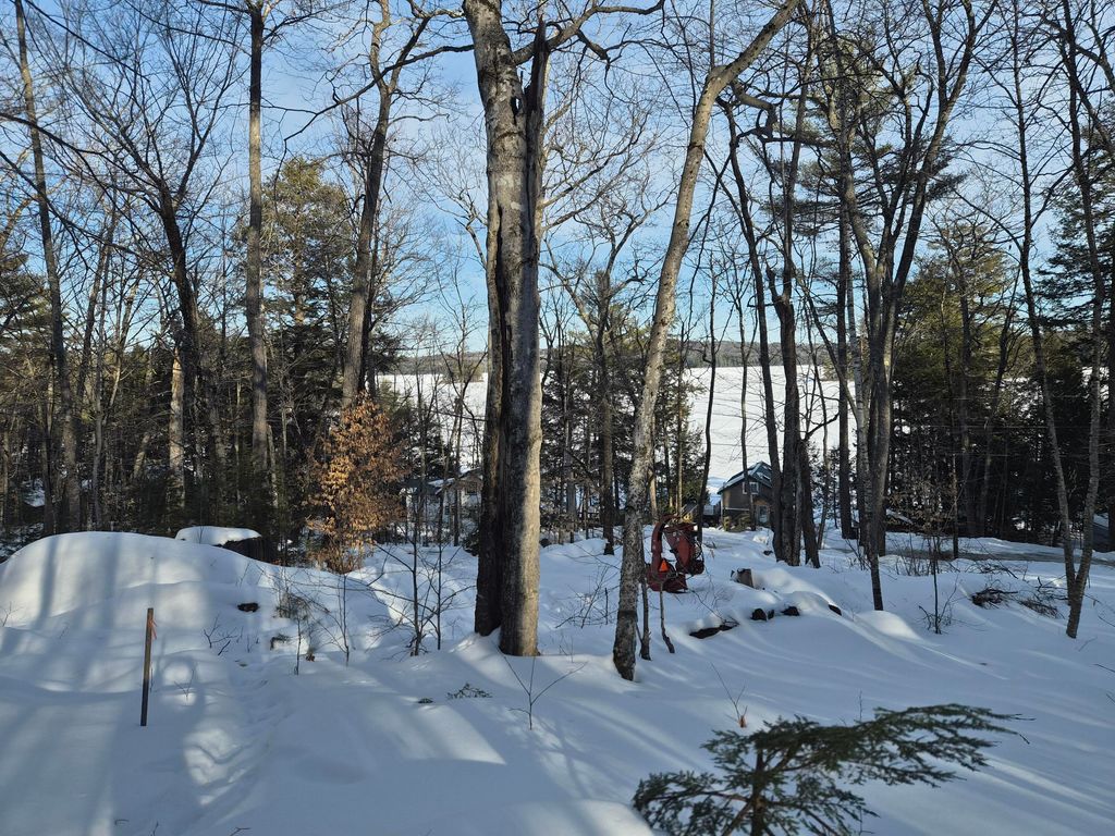 Photo of MU1 L9C Bachellers Mill Road, Chesterville, ME 04938 (MLS # 1652485)