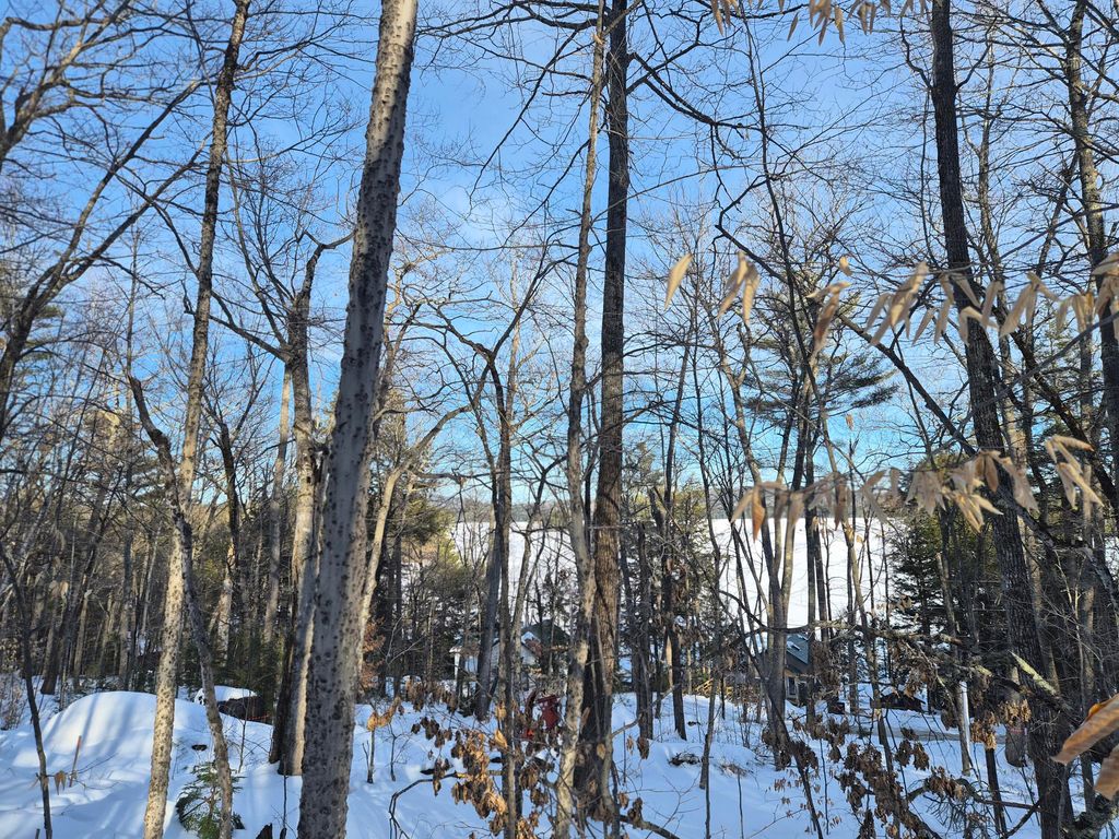 Photo of MU1 L9C Bachellers Mill Road, Chesterville, ME 04938 (MLS # 1652485)