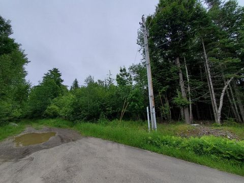 Photo of 0 Mill Street, Princeton, ME 04668 (MLS # 1650887)