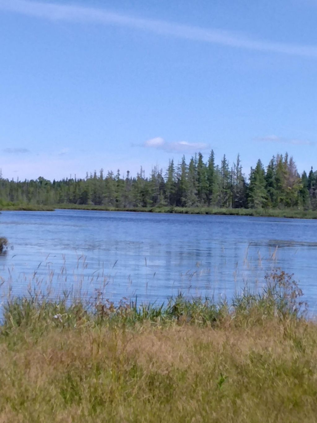 Photo of Lot 7 Caswell Woods Dernien Drive, Caswell, ME 04750 (MLS # 1635368)