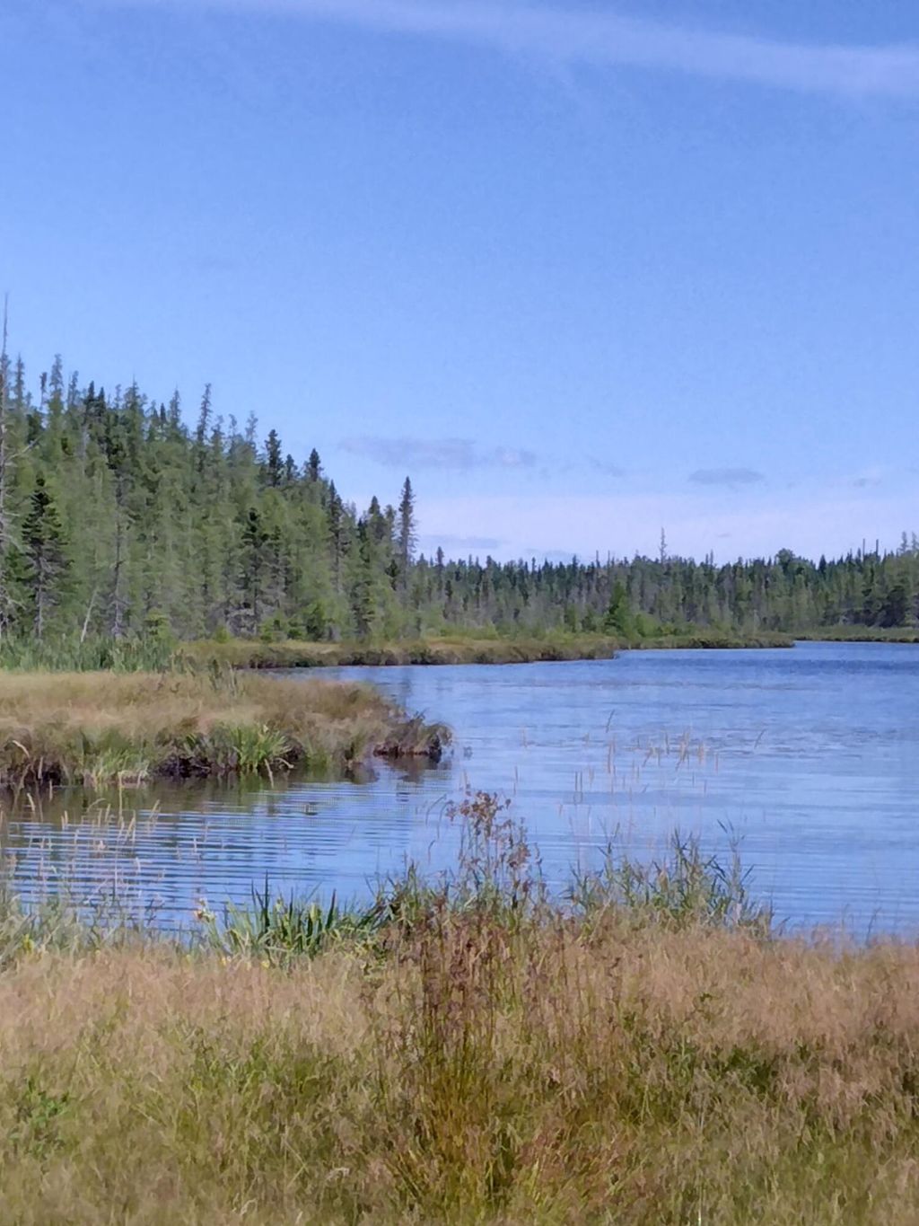 Photo of Lot 7 Caswell Woods Dernien Drive, Caswell, ME 04750 (MLS # 1635368)
