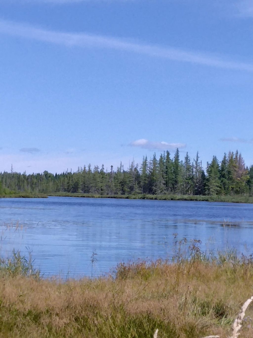 Photo of Lot 7 Caswell Woods Dernien Drive, Caswell, ME 04750 (MLS # 1635368)