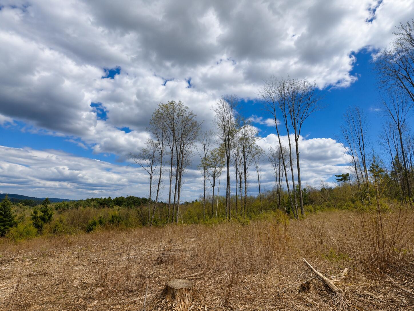 Lot #11 Jordan Heights Road