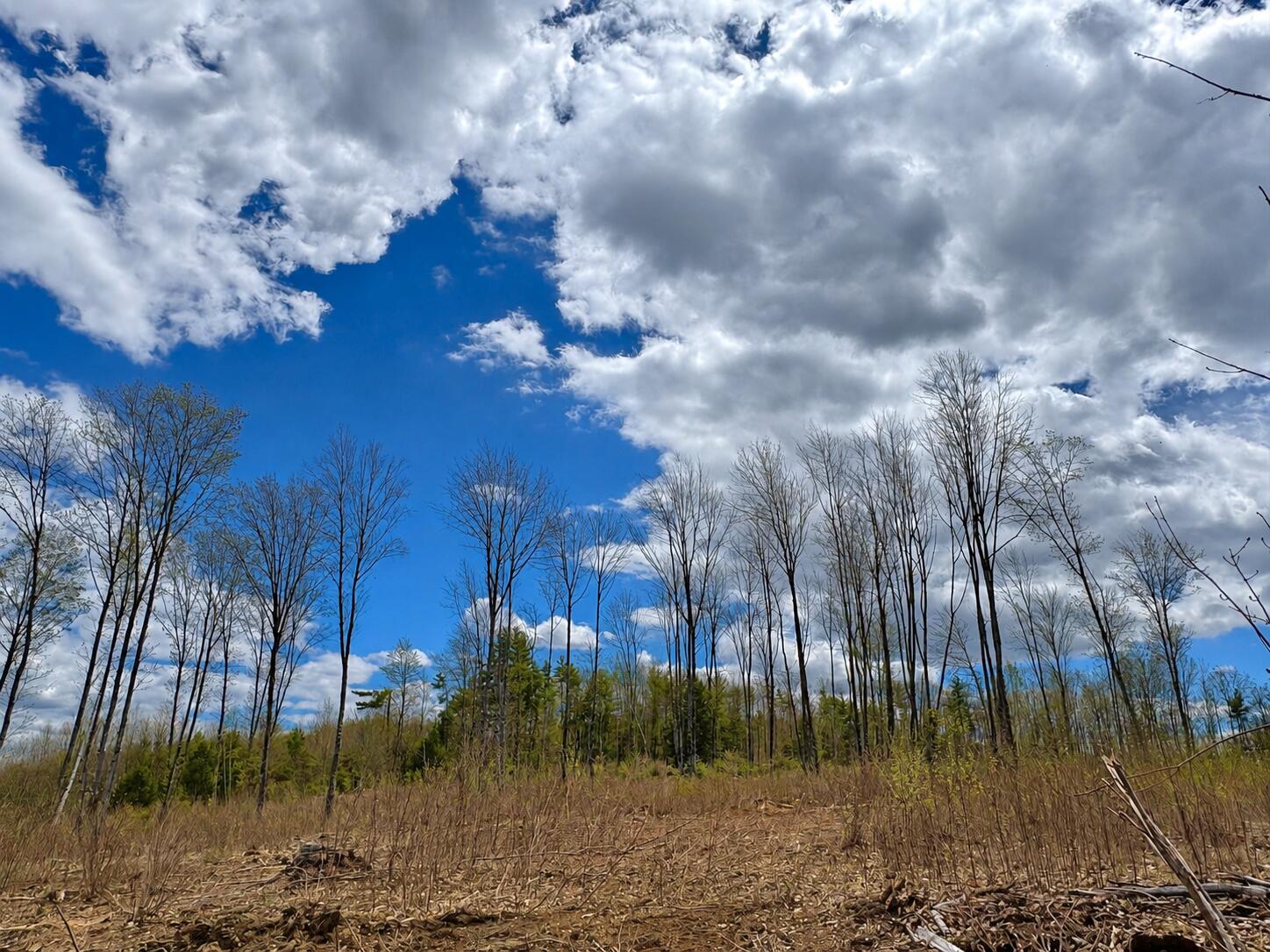 Lot #11 Jordan Heights Road
