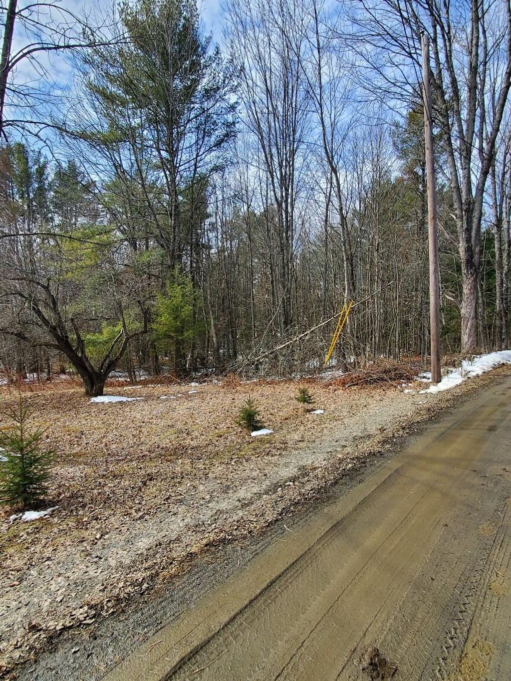 Photo of 0 Burough Road, Dover-Foxcroft, ME 04426 (MLS # 1656061)