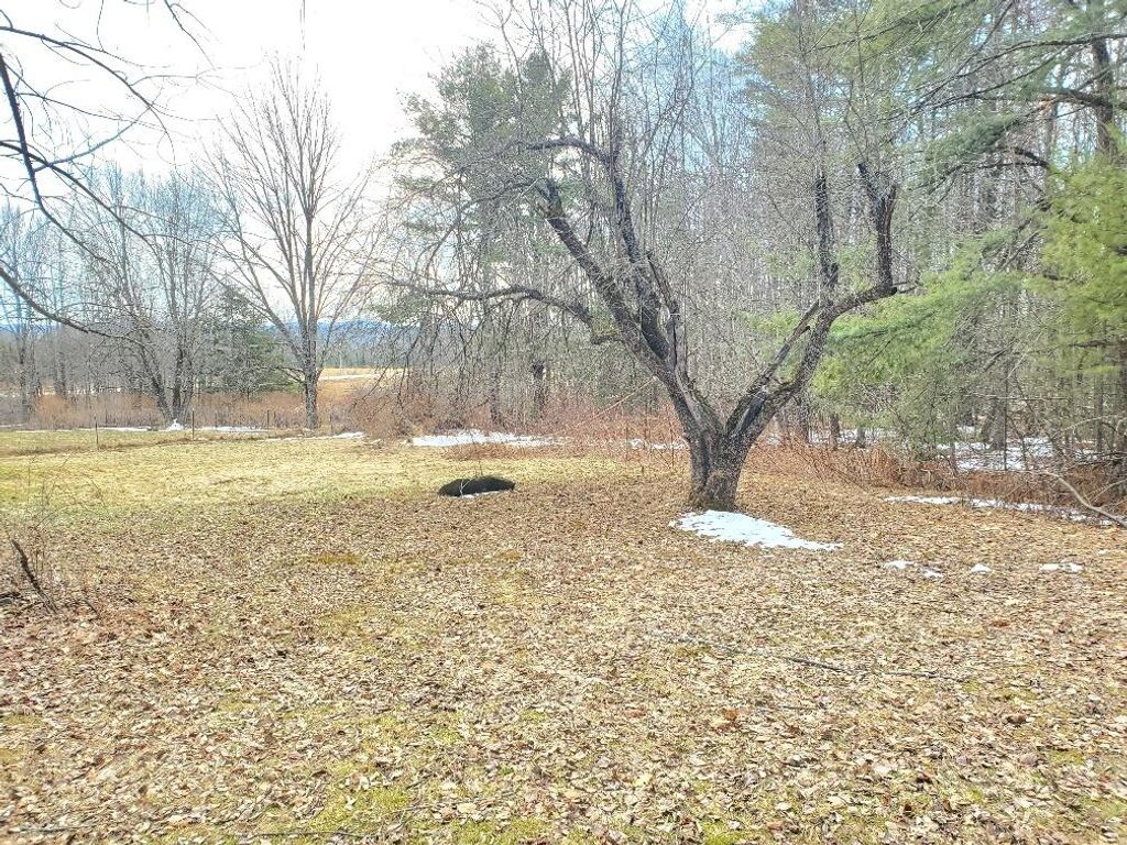 Photo of 0 Burough Road, Dover-Foxcroft, ME 04426 (MLS # 1656061)