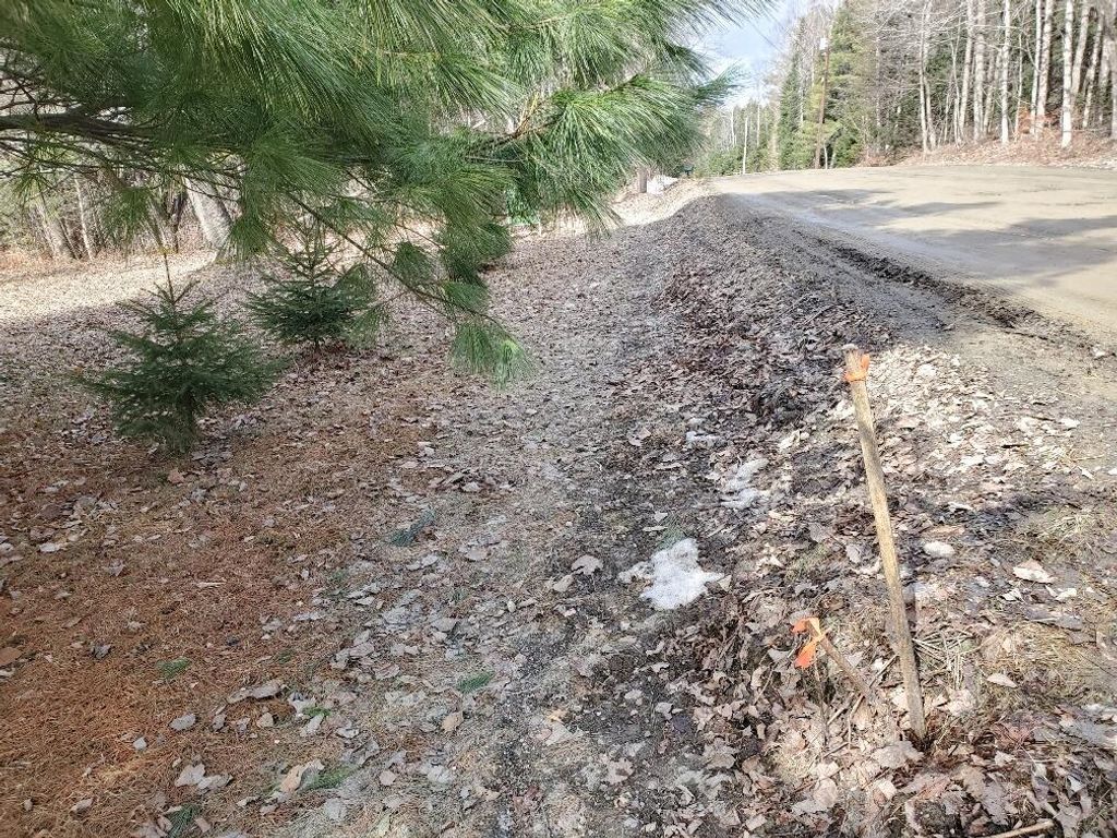 Photo of 0 Burough Road, Dover-Foxcroft, ME 04426 (MLS # 1656061)