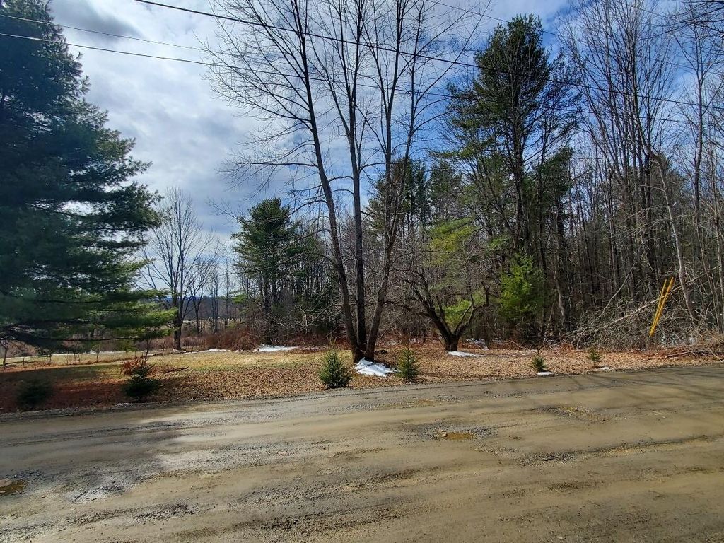 Photo of 0 Burough Road, Dover-Foxcroft, ME 04426 (MLS # 1656061)