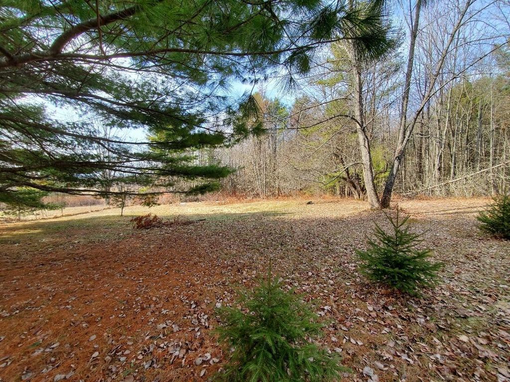 Photo of 0 Burough Road, Dover-Foxcroft, ME 04426 (MLS # 1656061)