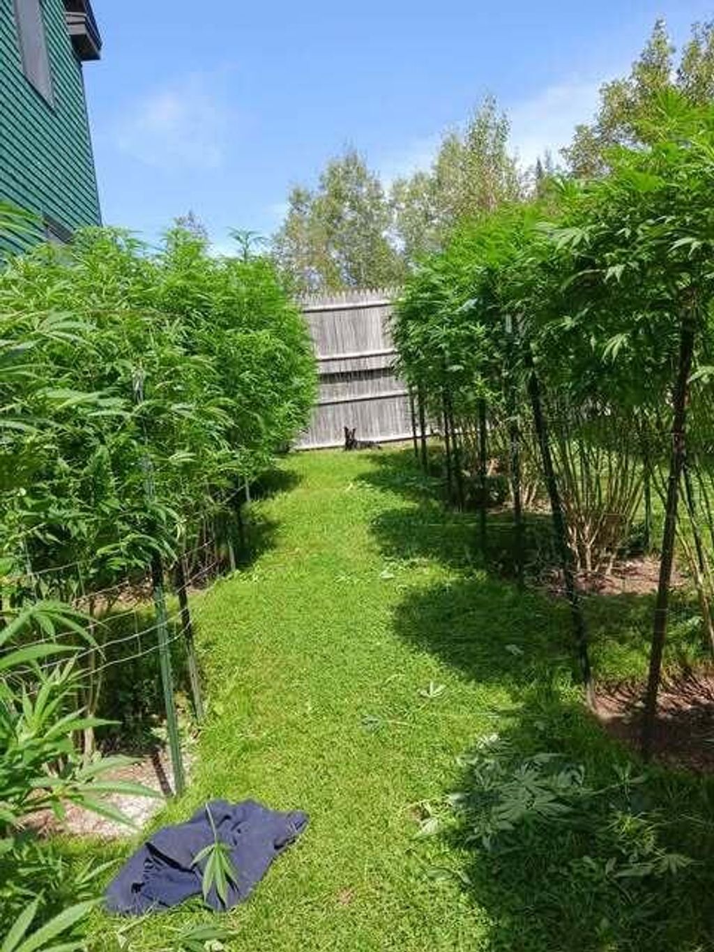 Photo of 130 Farmers Hill Road, Andover, ME 04216 (MLS # 1656097)