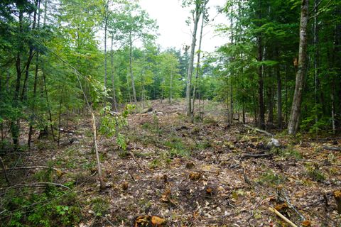 Photo of 89 Chapman Road, Harrison, ME 04040 (MLS # 1655358)