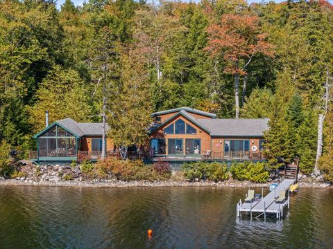 Photo of 9 Outlet Cove Road, Mariaville, ME 04605 (MLS # 1659081)