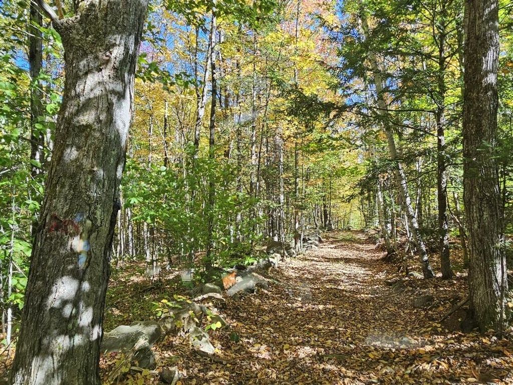 Photo of TBD Temple Road, Farmington, ME 04938 (MLS # 1639269)